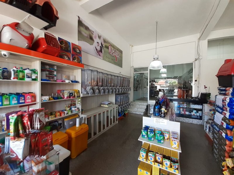 Clínica Veterinária Cães e Gatos Copacabana RedeApp O seu