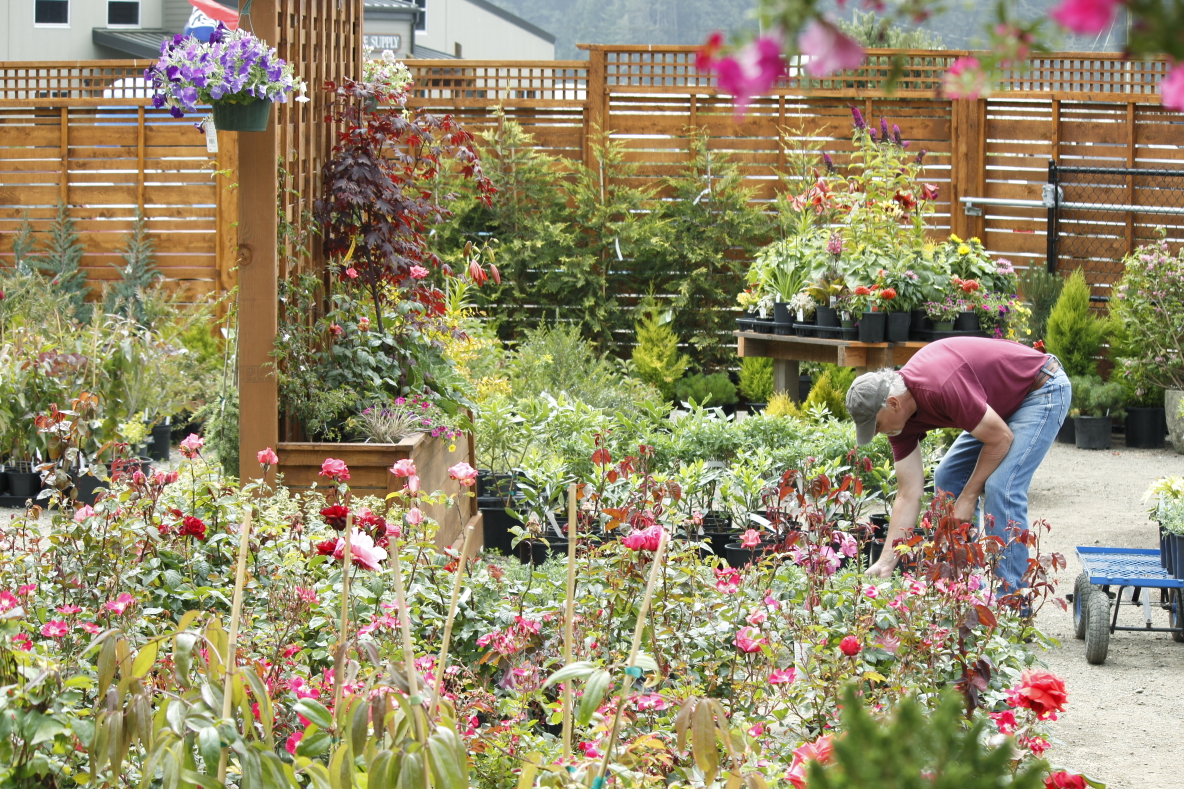 Garden Shop SeaCoast Compost Coos Bay Oregon Plants