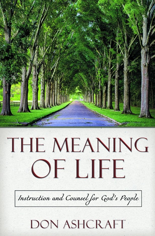 The Meaning of Life Instruction and Counsel for God's People The Meaning of Life Instruction and Counsel for God's People