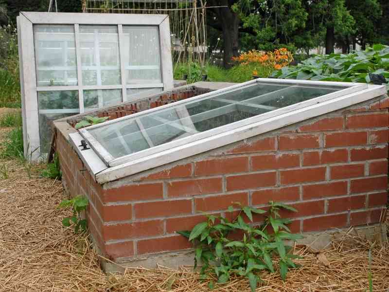 5 Benefits of Using Cold Frames In Your Garden The Small Town Homestead