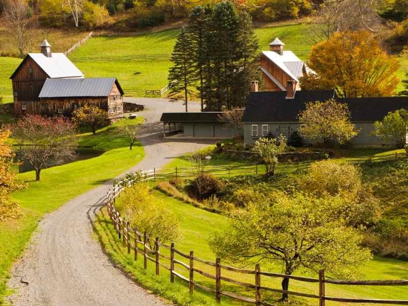 Is Homesteading A Lot Of Work? Here’s The Answer The Small Town Homestead