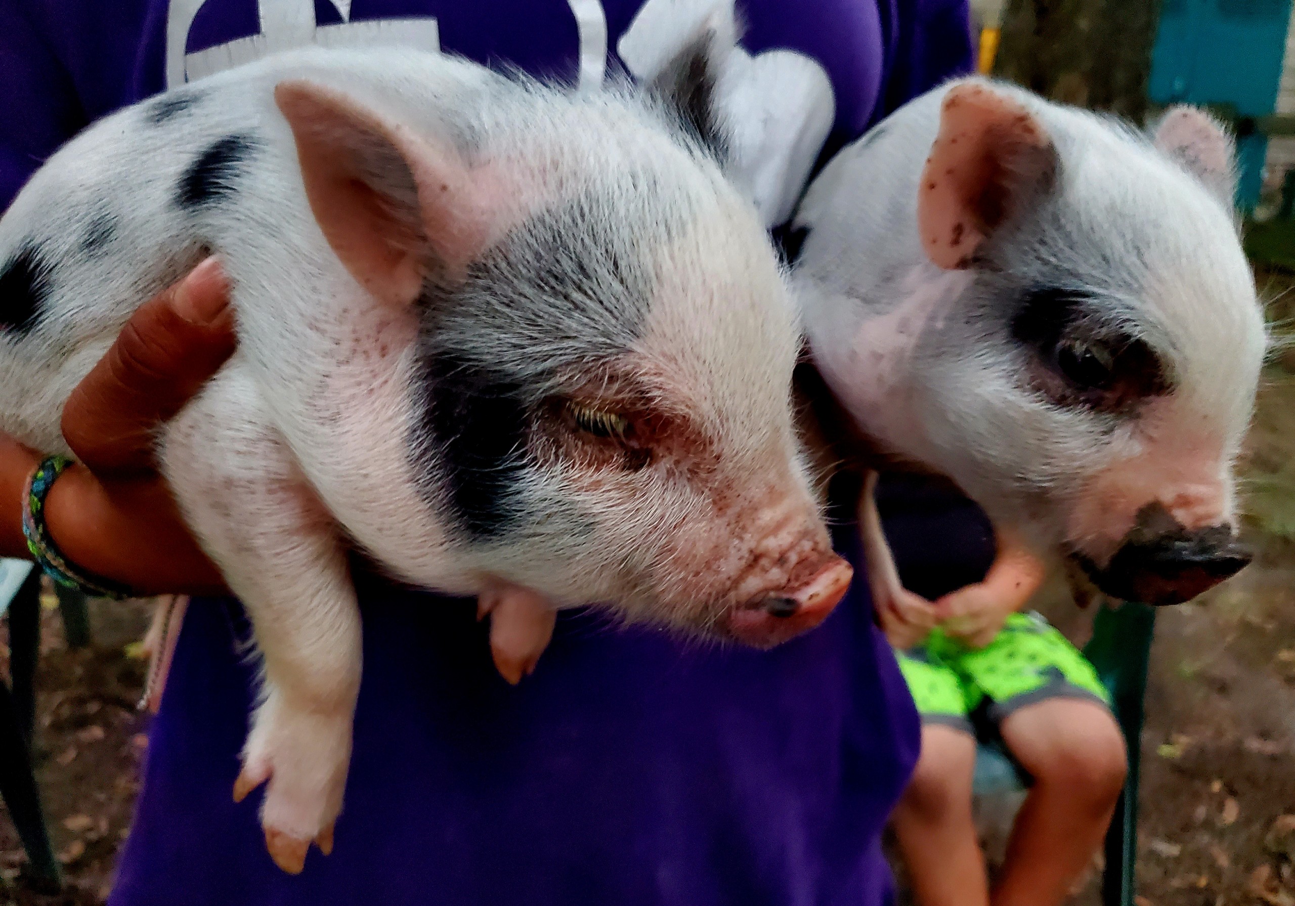 Adoption Redemptive Love Farm