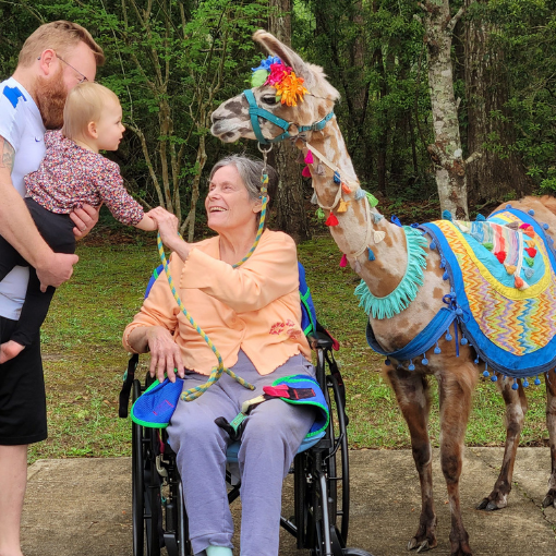 Rescue Redemptive Love Farm & Rescue