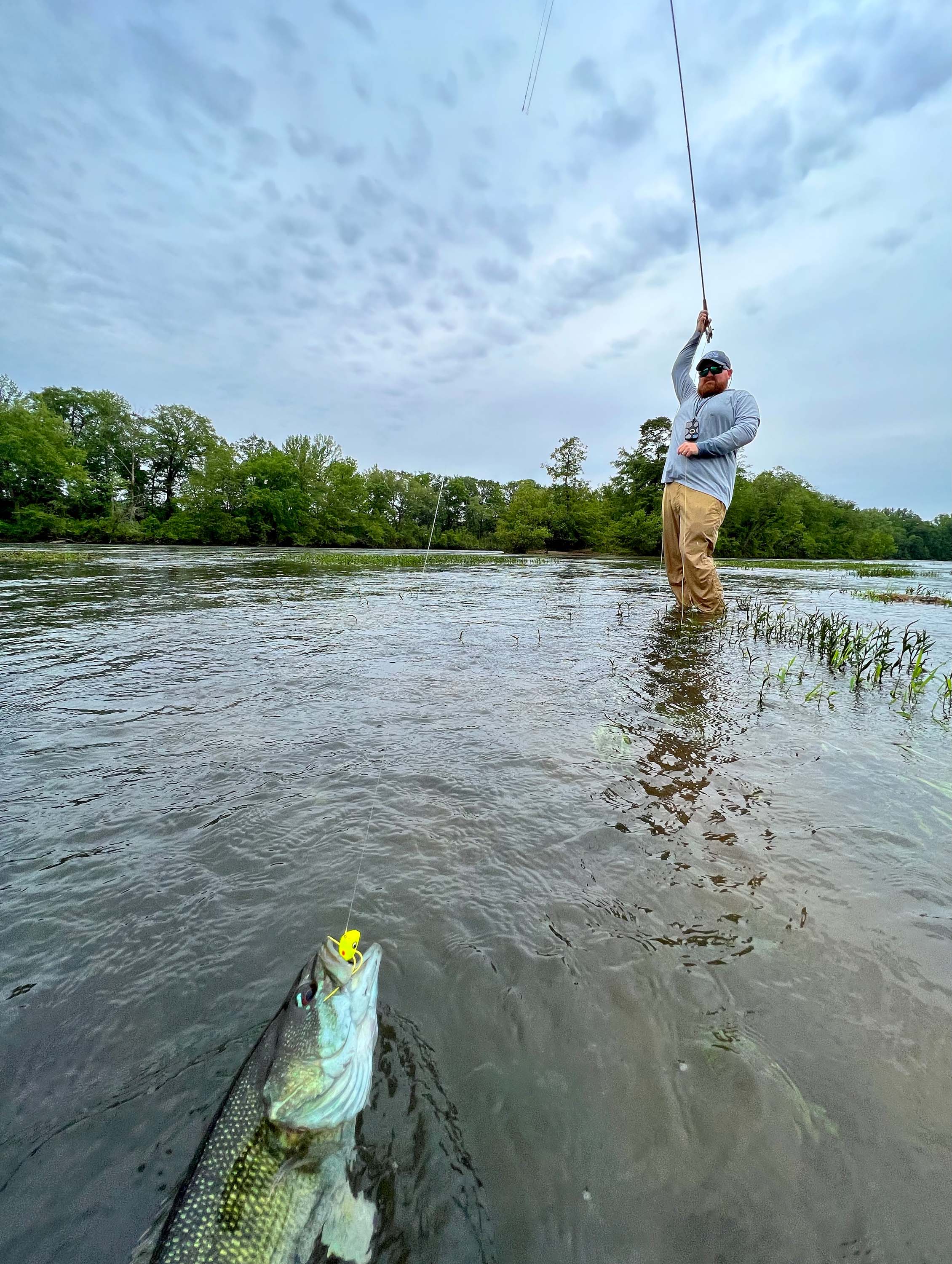 Redeye Bass Fly Fishing