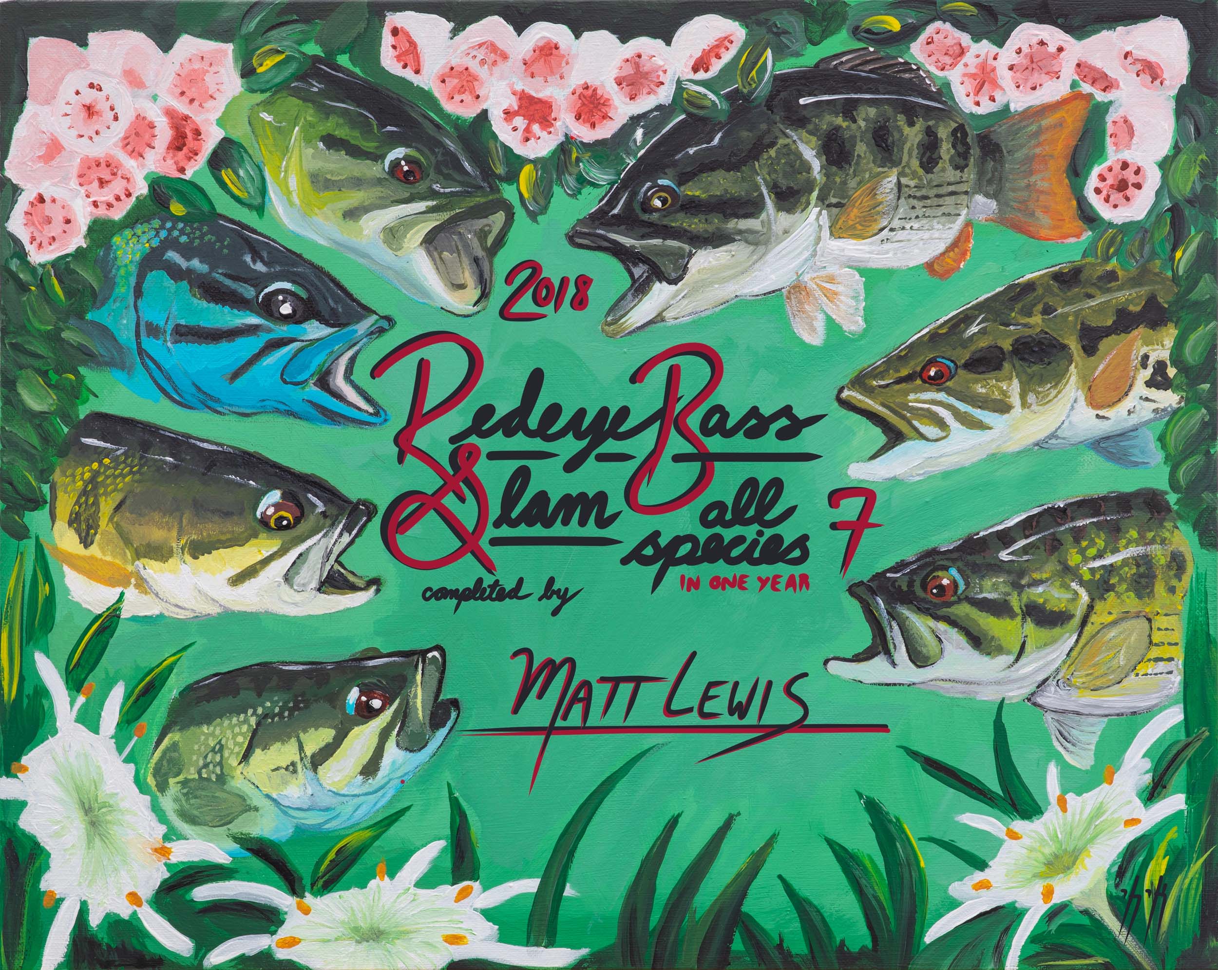 Redeye Bass Fly Fishing