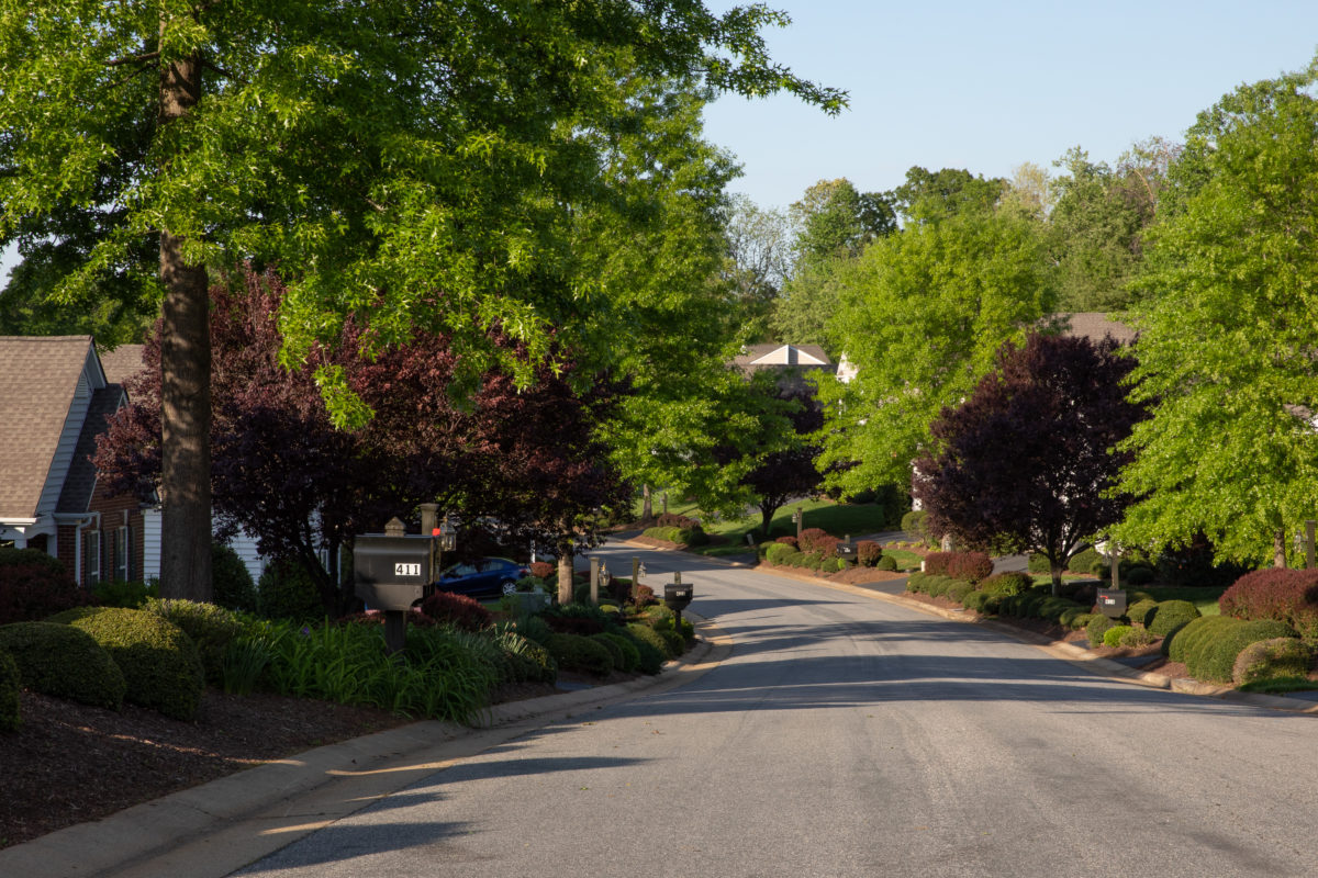 Photo Gallery Redfields Community Association