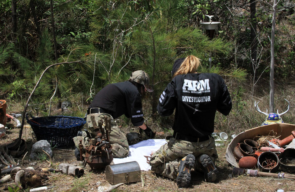 Animal Recovery Mission An Interview Red Flag Magazine