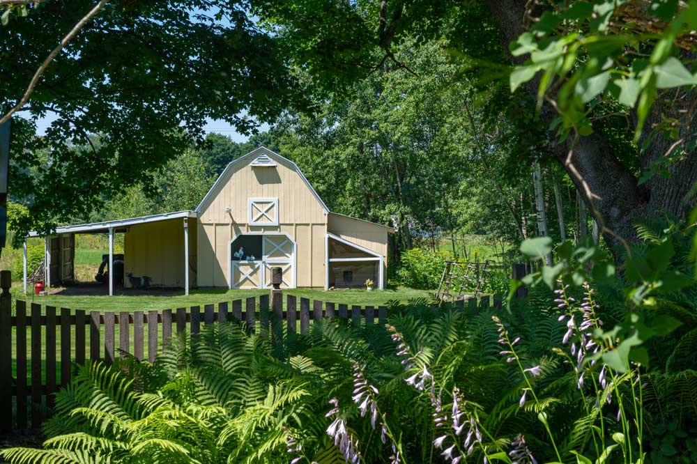 Red Fox Run Farmhouse Suite Bed & Breakfast