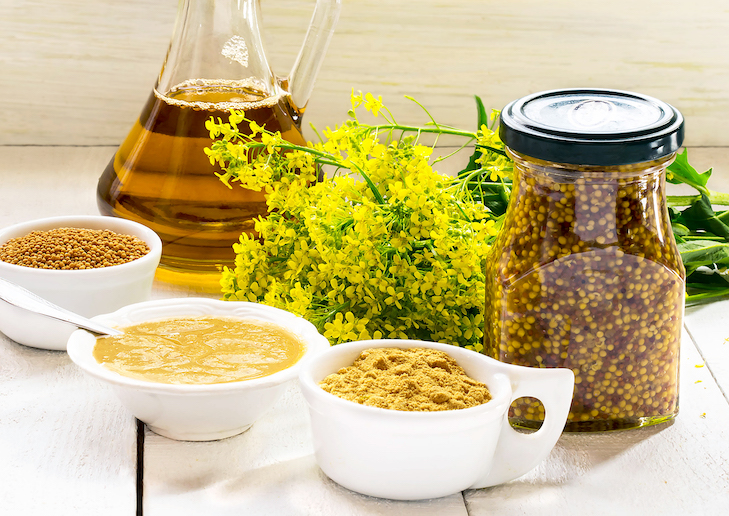 Make Your OWN Prepared Mustard! Red Goose Spice Company