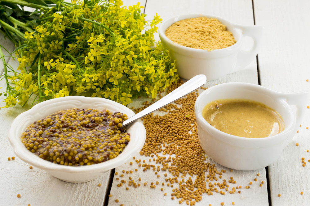 Make Your OWN Prepared Mustard! - Red Goose Spice Company