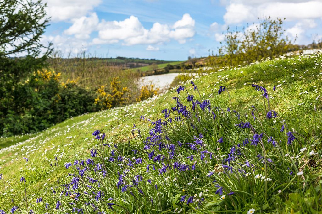 Calenick House, Truro Technology Park, Newham, Truro TR1 2XN