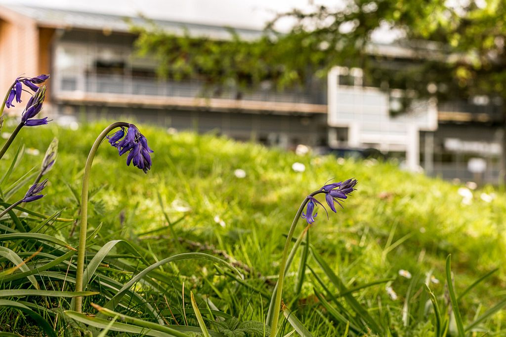 Calenick House, Truro Technology Park, Newham, Truro TR1 2XN