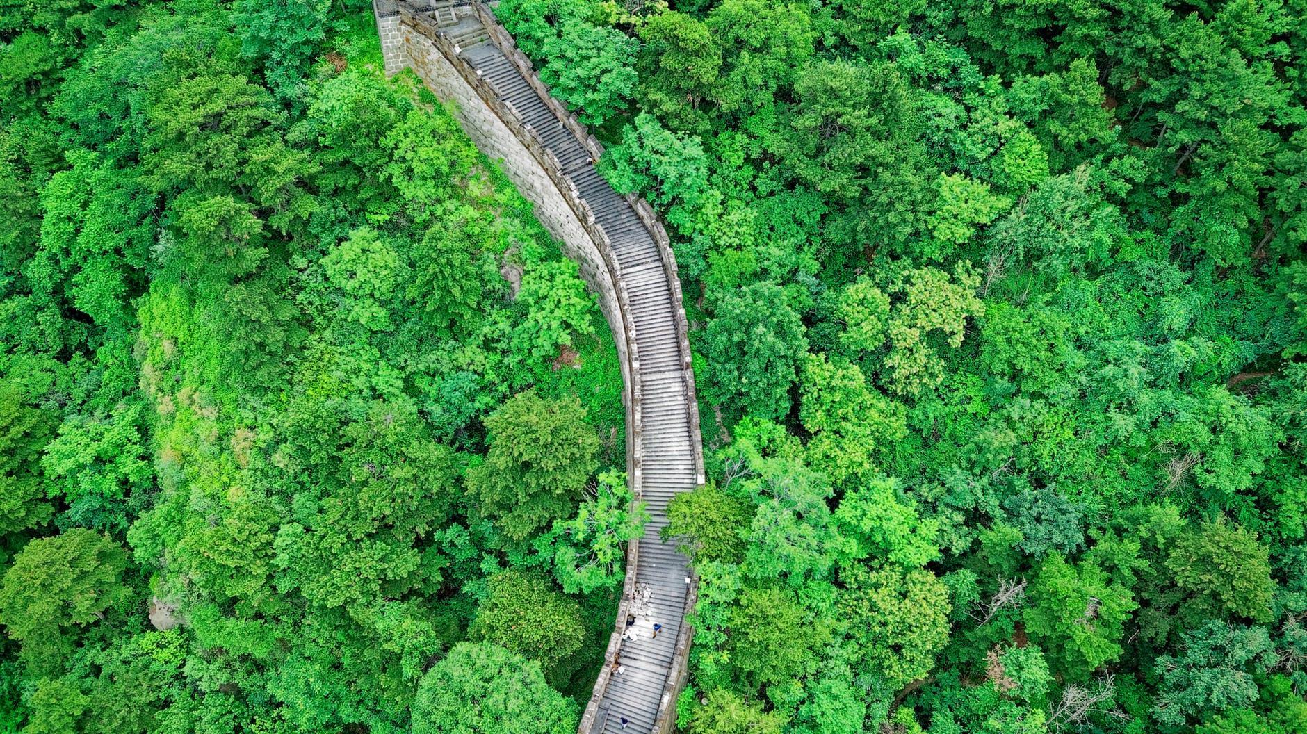 China leads the world with massive reforestation drive (greening the Great Wall) Red, Green