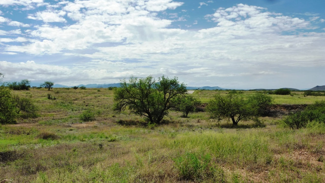 192 Red Hawk at J6 Ranch