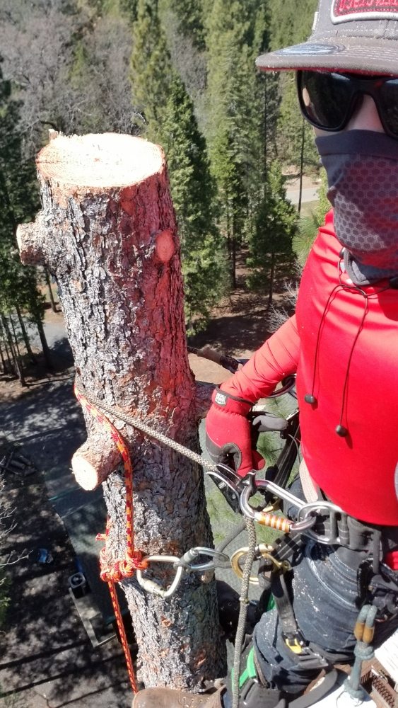 Tree Service Redding CA, Tree Trimming, Tree Removal Tree Pruning