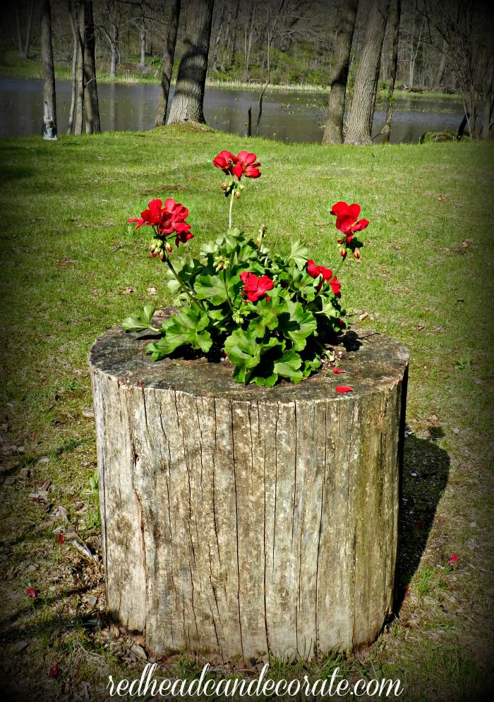DIY Stump Planter Redhead Can Decorate