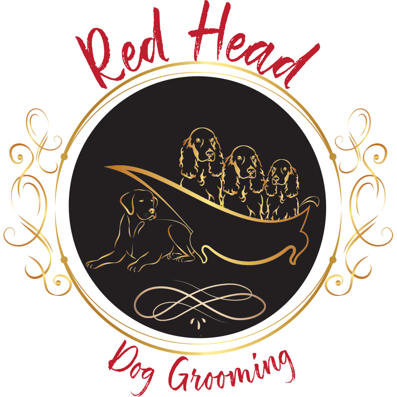 red head dog designs contact Red Head Dog Designs