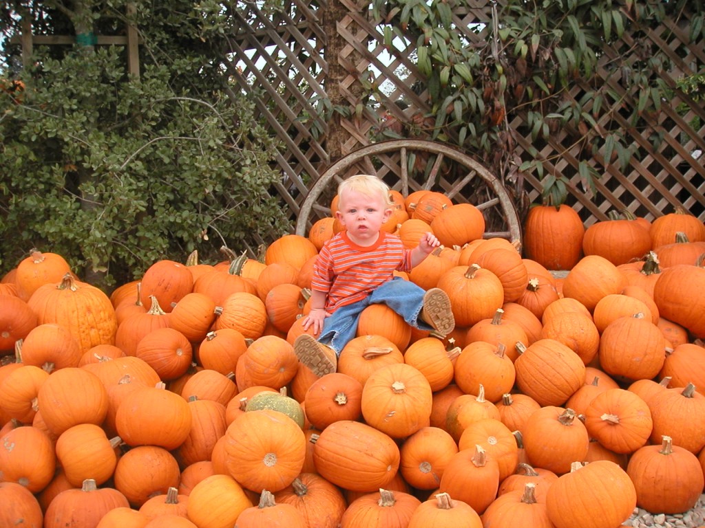 How to Visit the Pumpkin Patch Redhead Mom