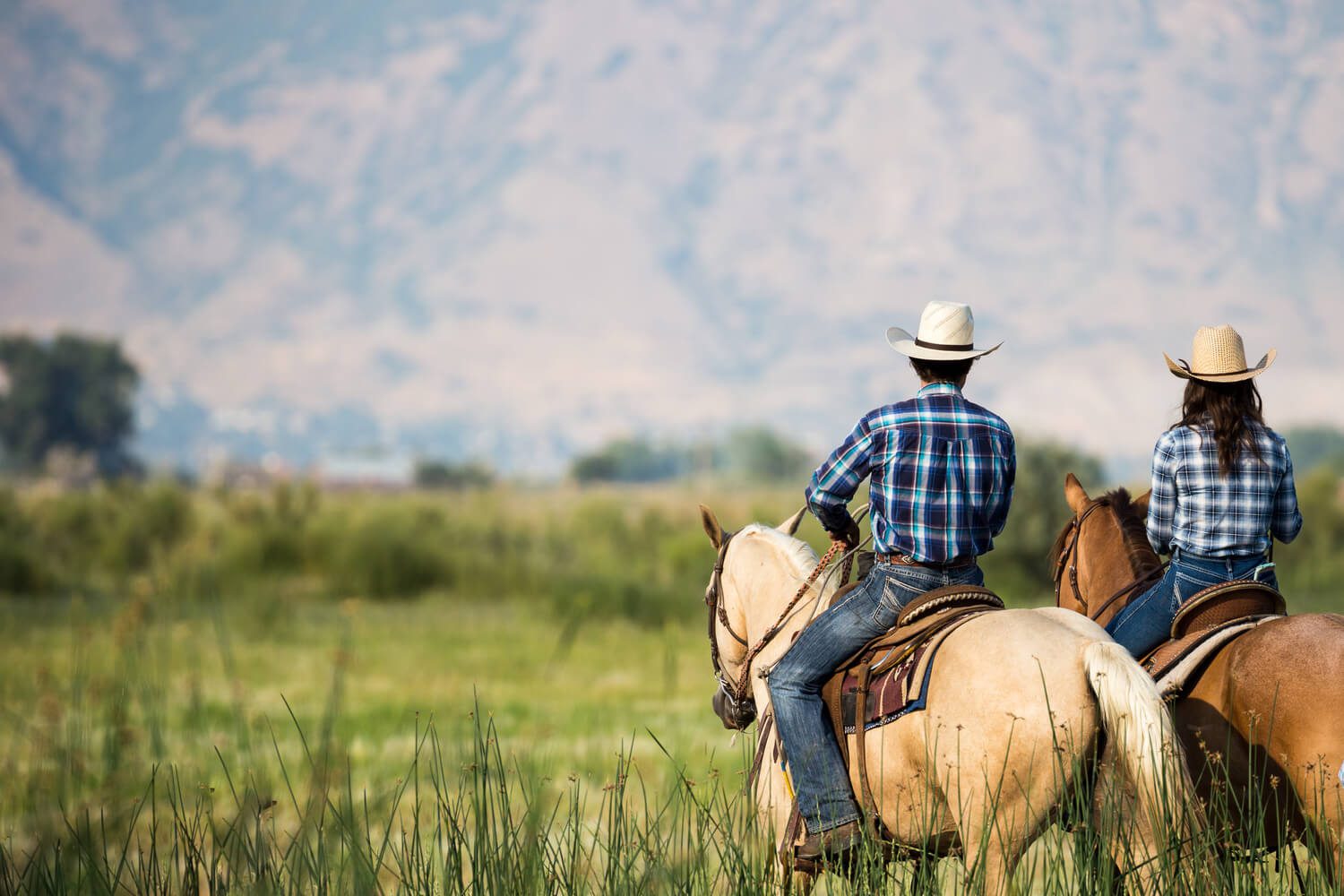 Give the Gift of a Horseback Riding Vacation Red Horse Mountain Ranch