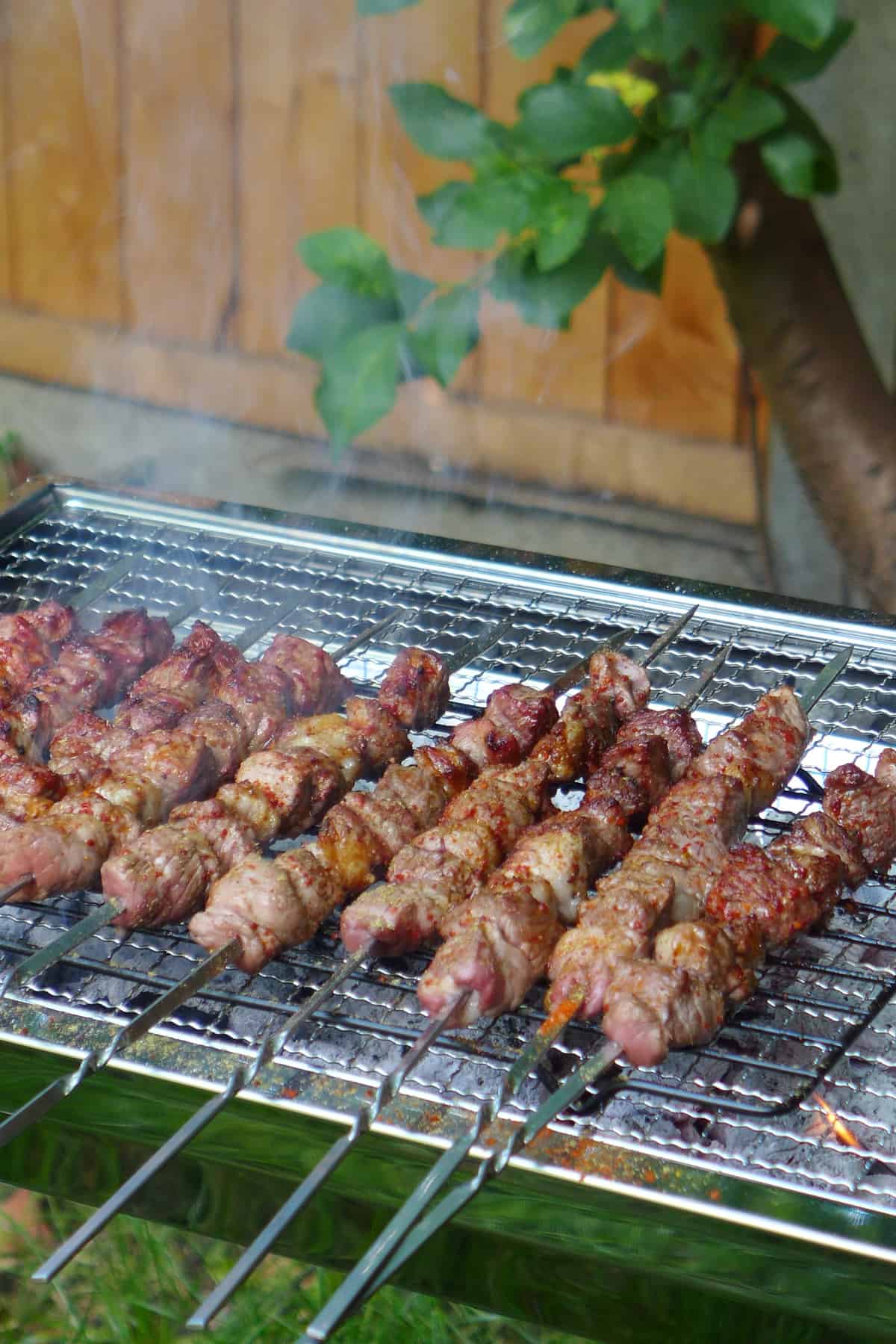 Chinese Lamb Skewers (Yang Rou Chuan’r, 羊肉串儿) Red House Spice