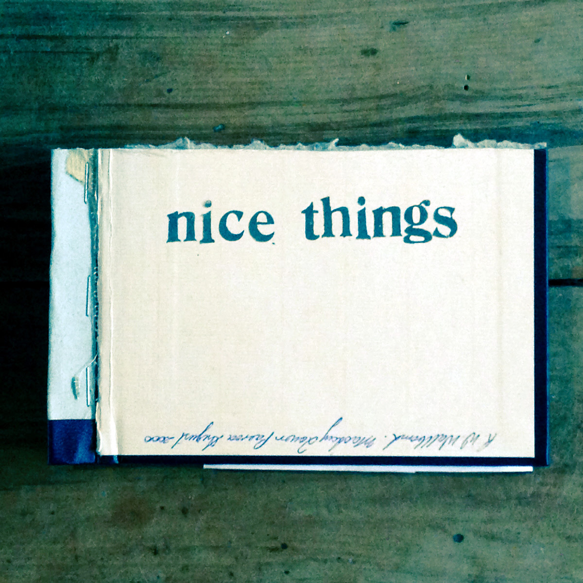 Nice Things David Merritt Rediscover