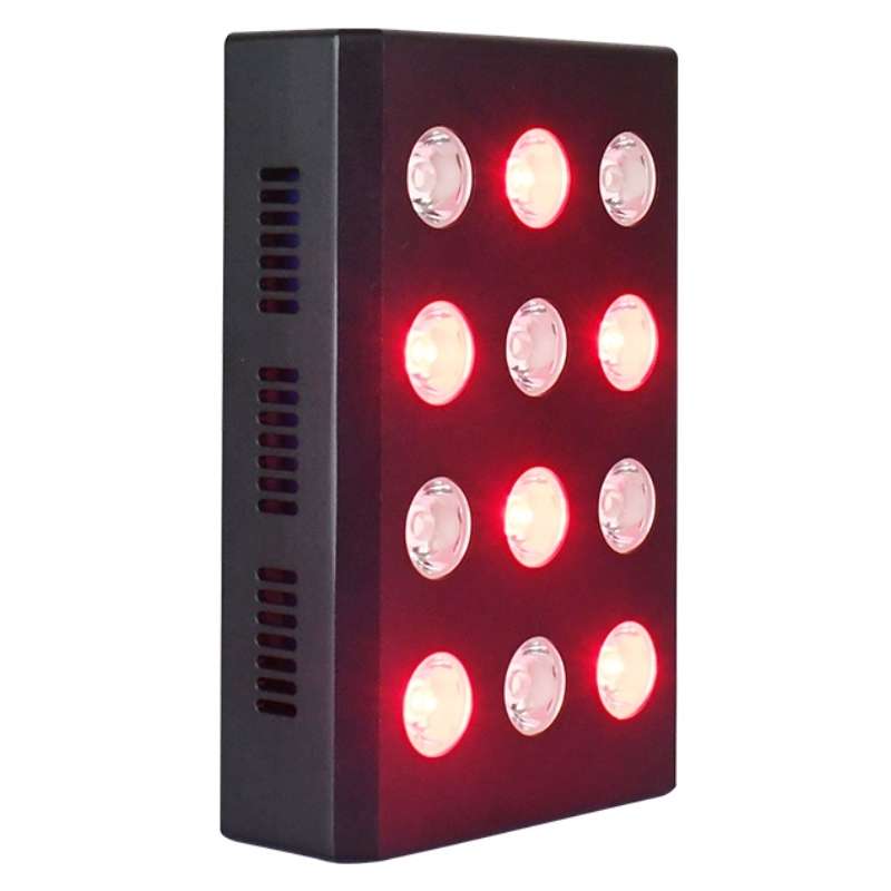 Red Light Therapy Infrared Lights Australian Owned