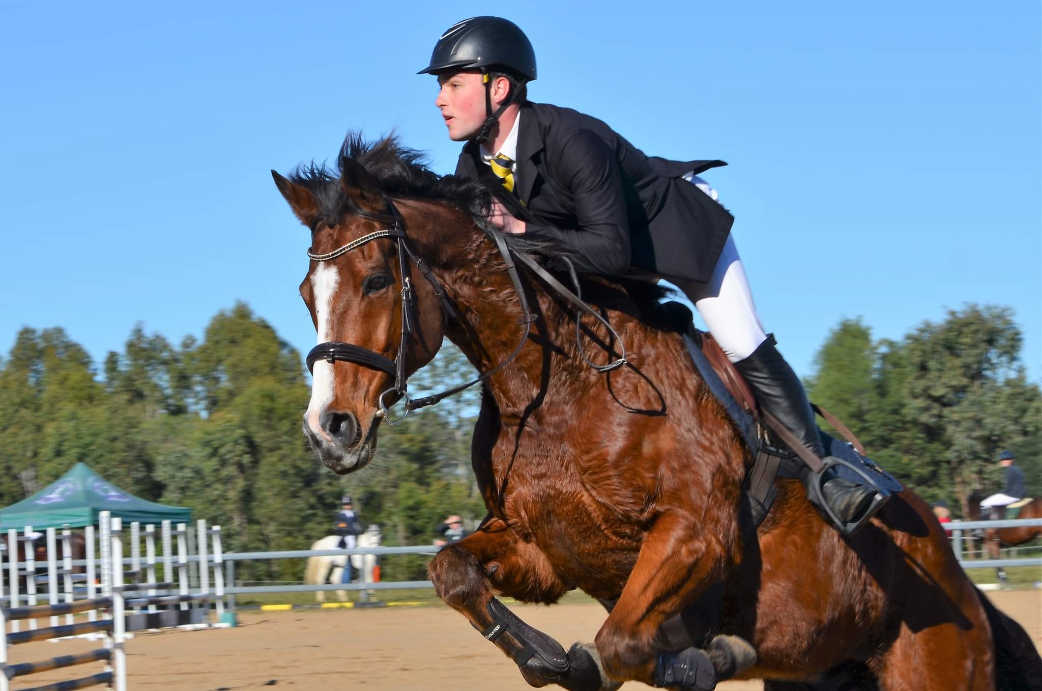 This is a SHOUT OUT to our 1 man Equestrian Team Harrison Waldron