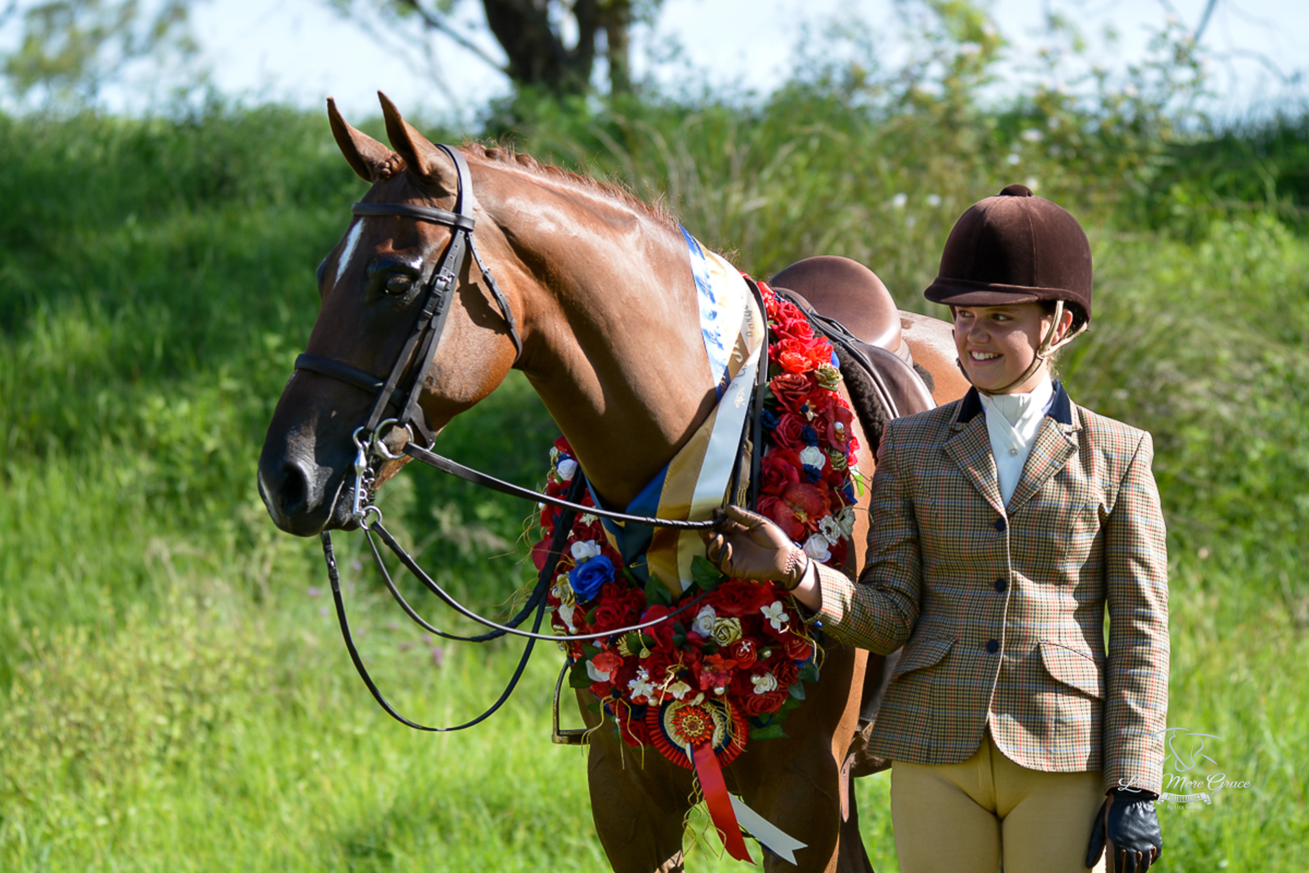 Horses Gallery Redlands Stables