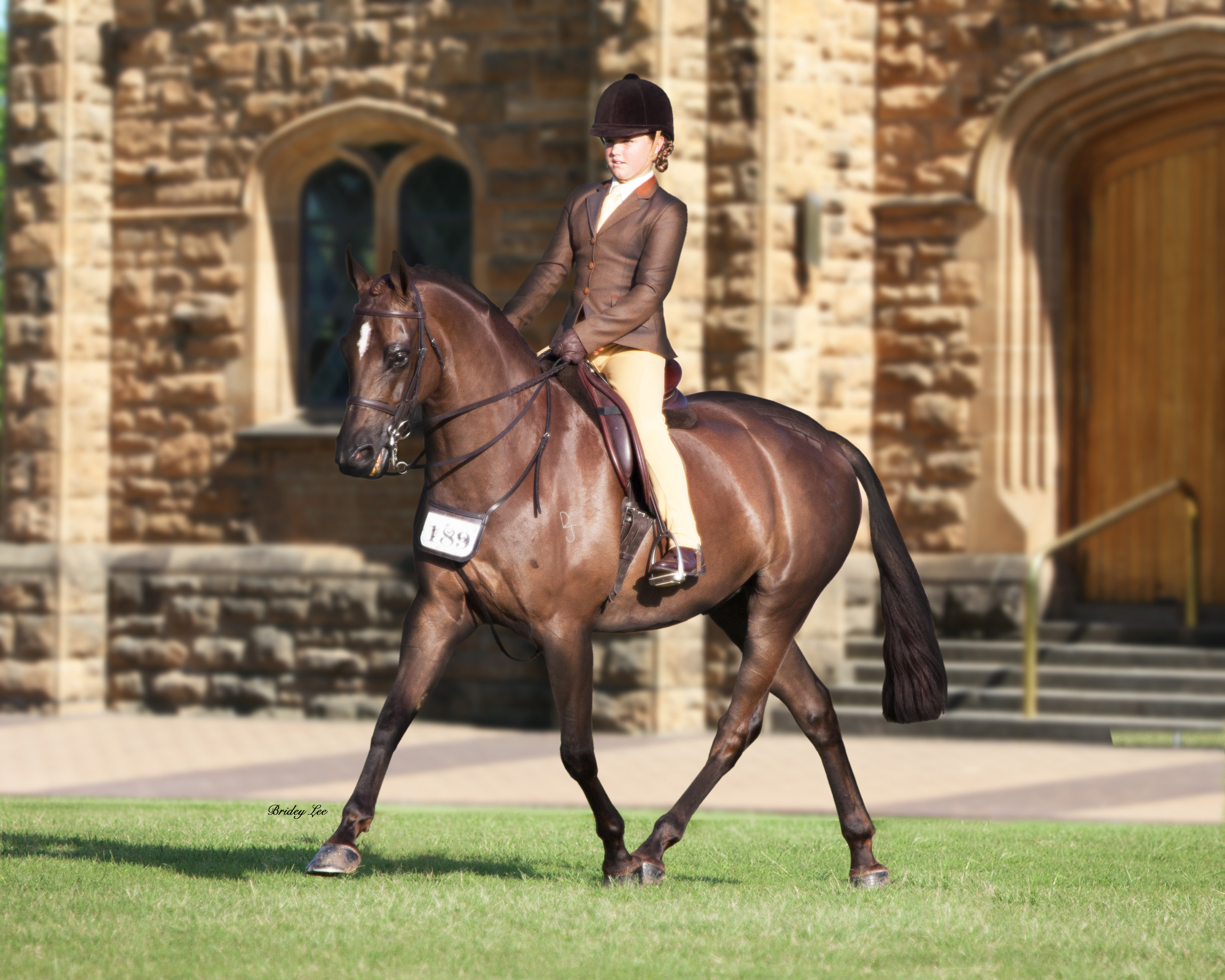 Horses Gallery Redlands Stables