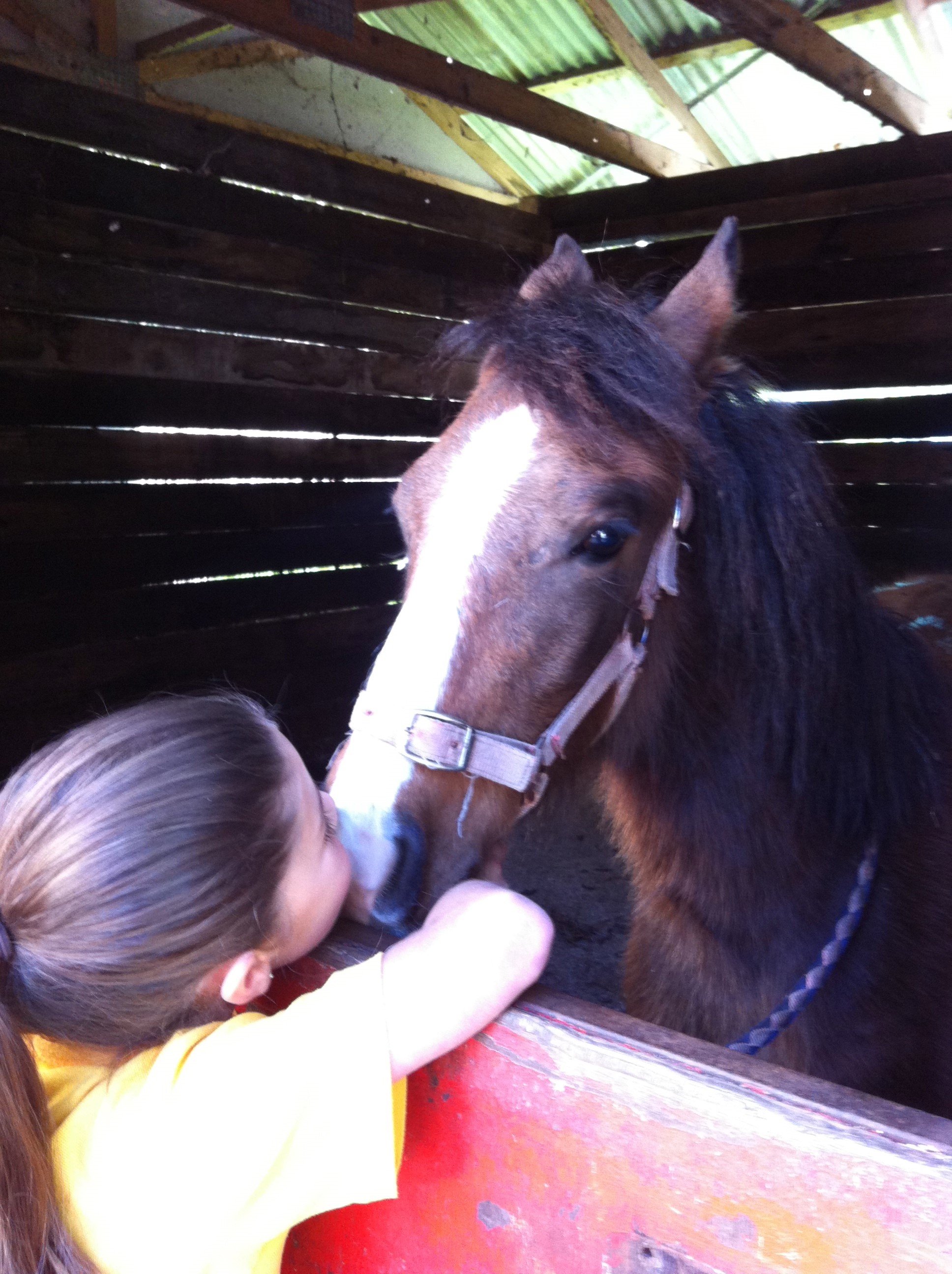 2012 Redlands Stables Camp Redlands Stables