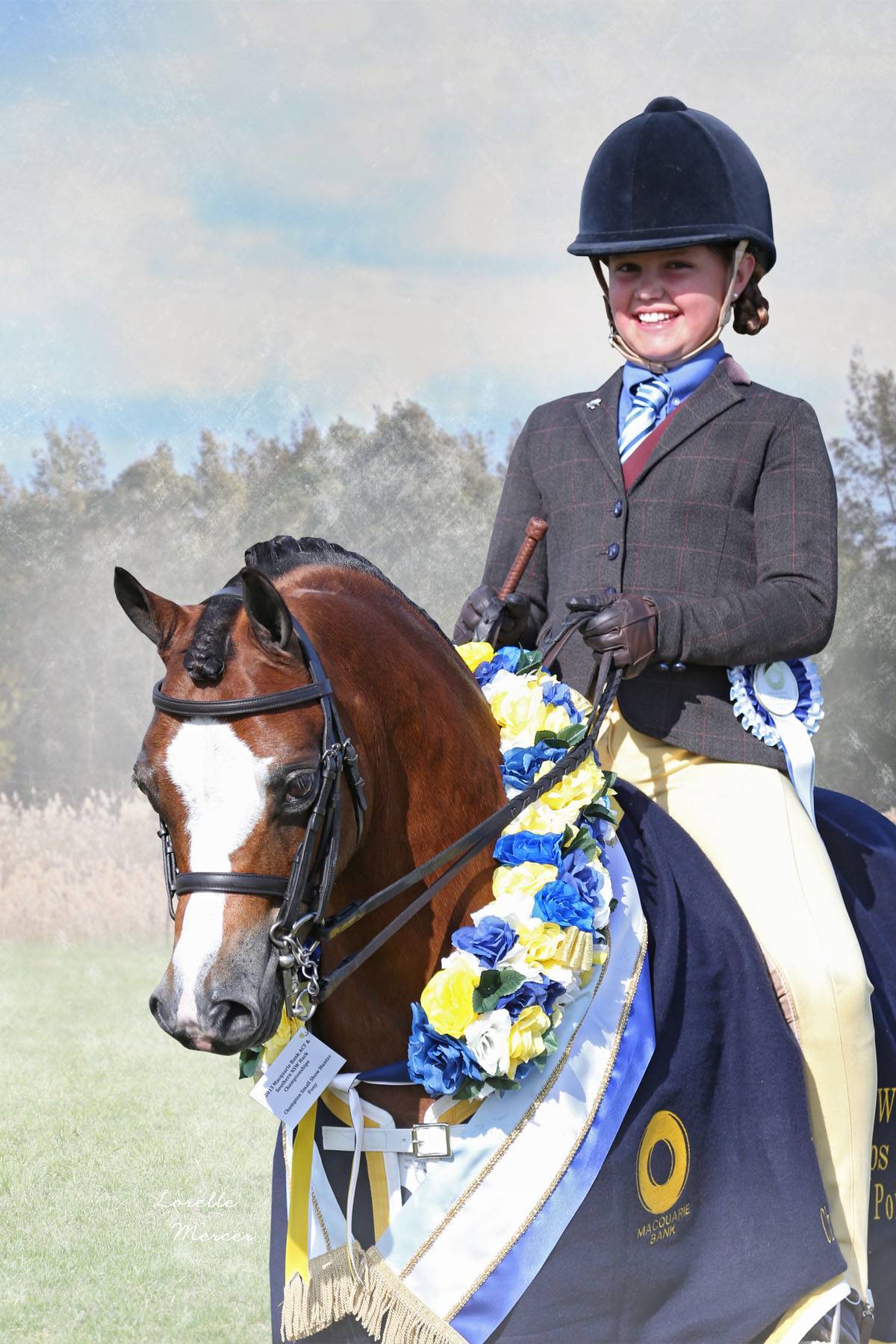 Horses Gallery Redlands Stables