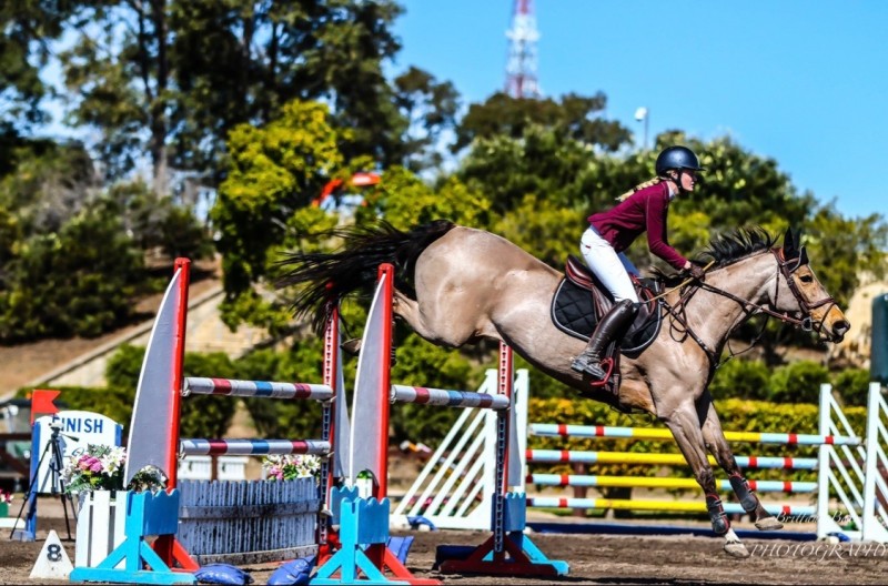 Competition Horses Redlands Stables