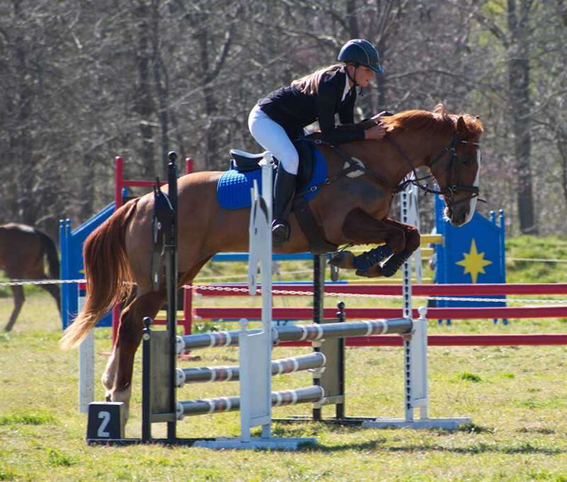 Competition Horses Redlands Stables