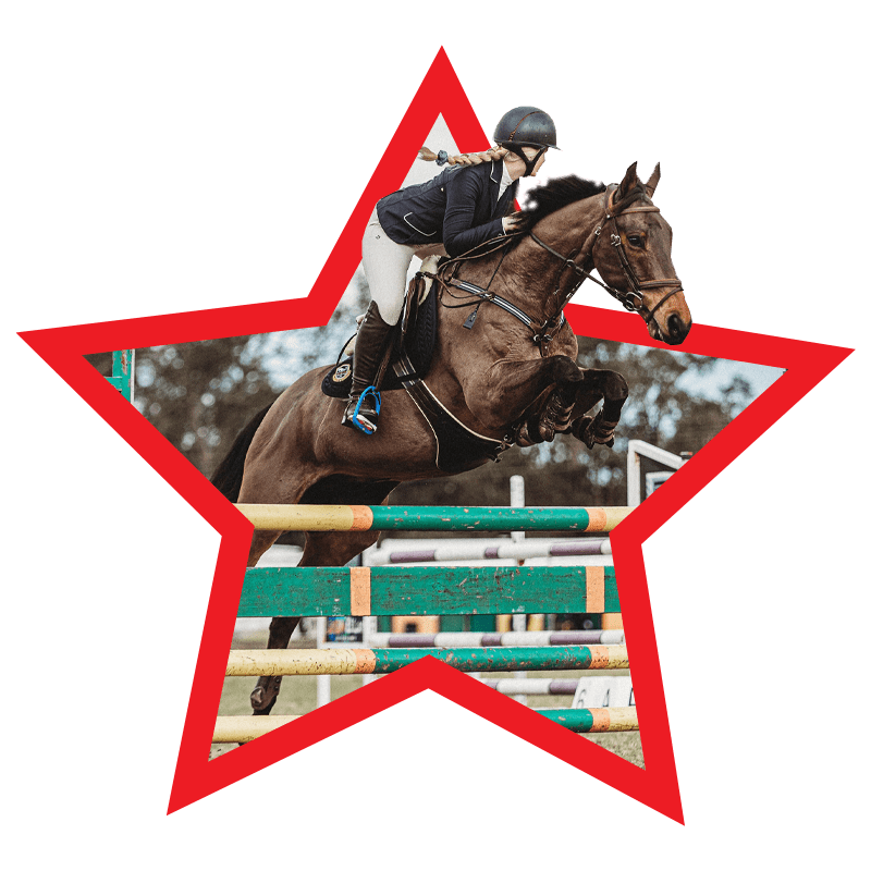 Redlands Stables Canberra Horse Agistment, Canberra Horse Riding