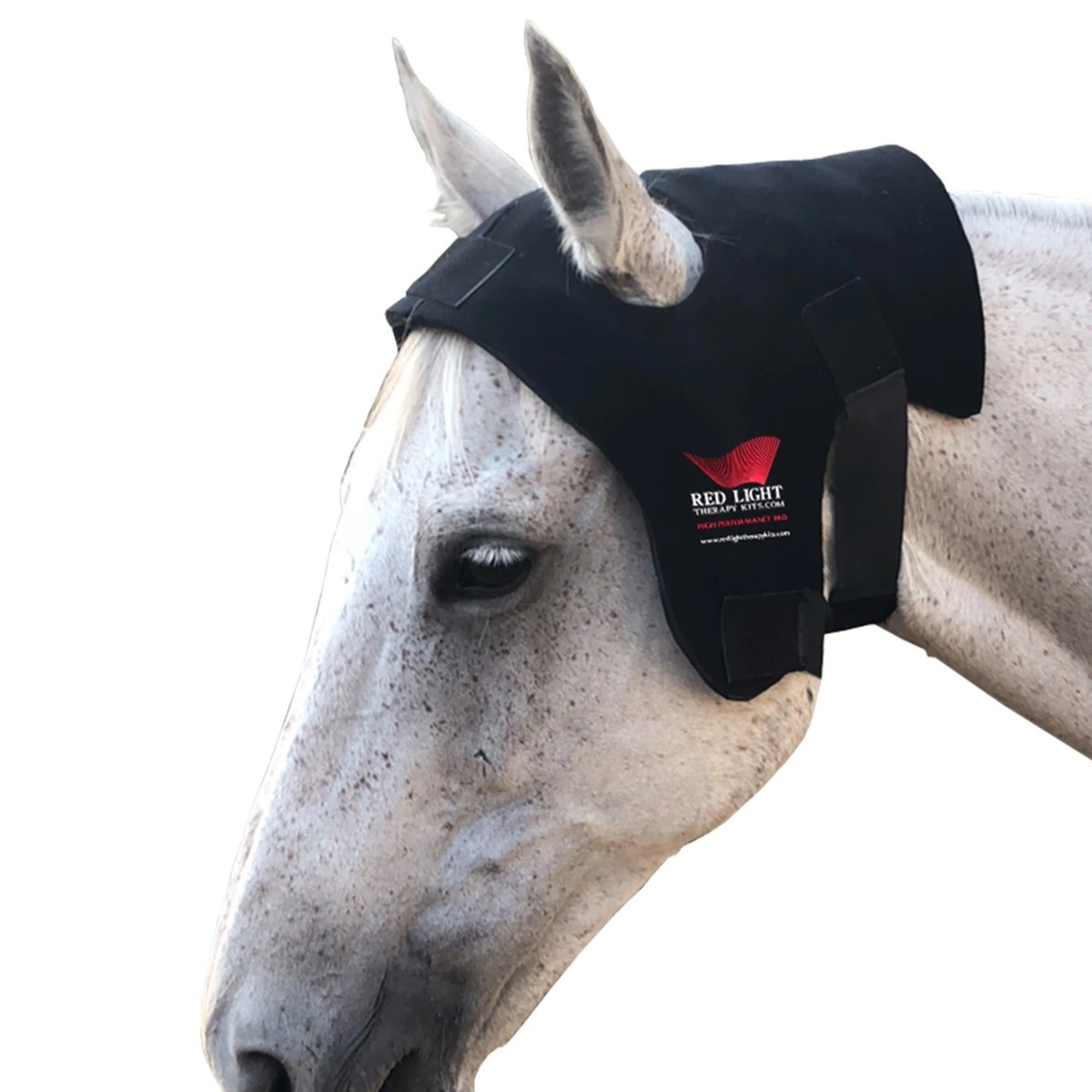 Equine Red Light Therapy Poll Cap Red Light Therapy Australia