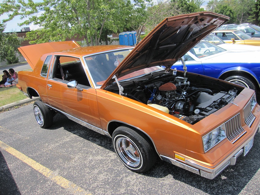 Cutlass