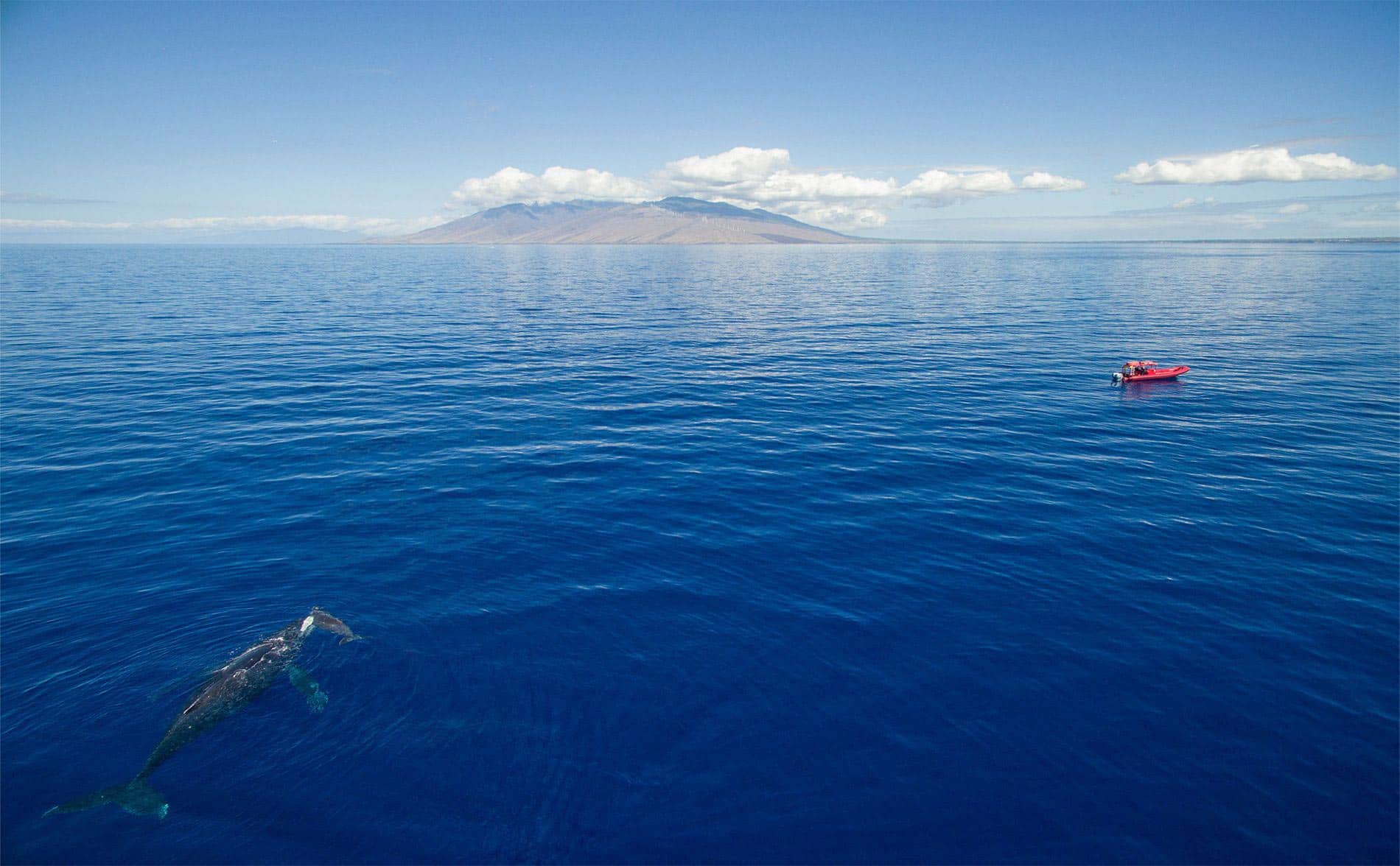 Kihei Snorkeling Tours to Molokini Best Maui Snorkeling is on a Raft