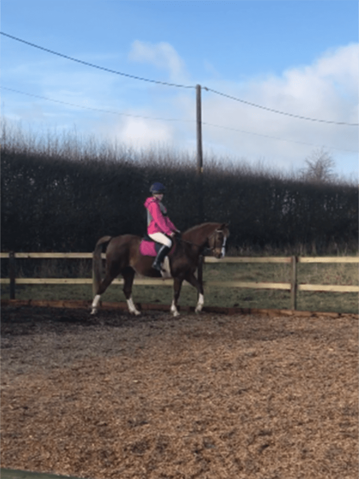 Redmill Timber Company Ltd Wood Chip