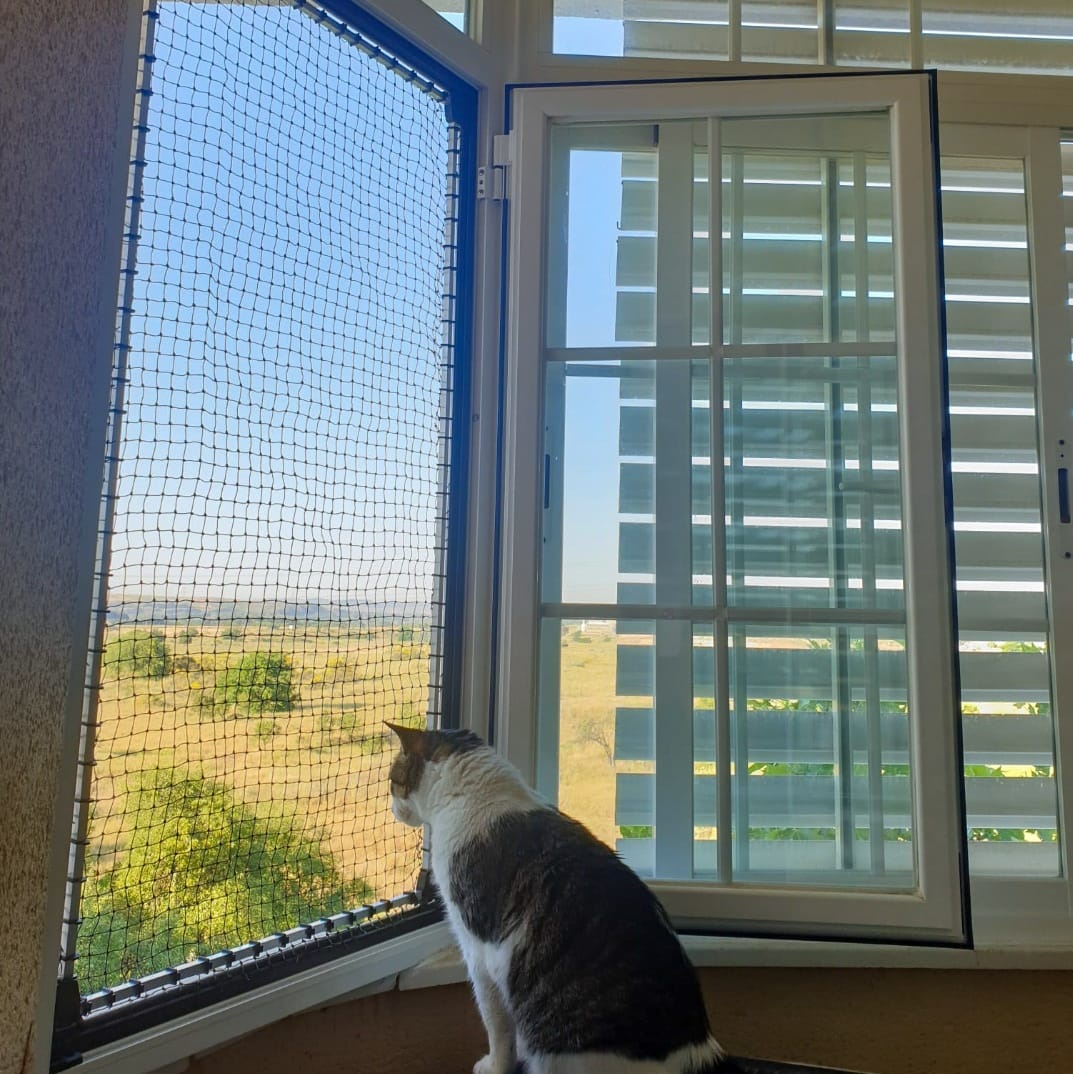 Red Noa Redes para Gatos Sin Obras