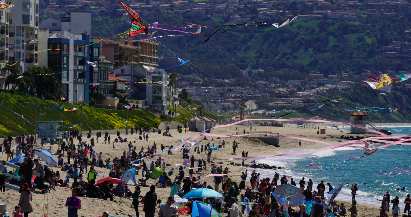 Kite Festival 2024 California Lory Silvia