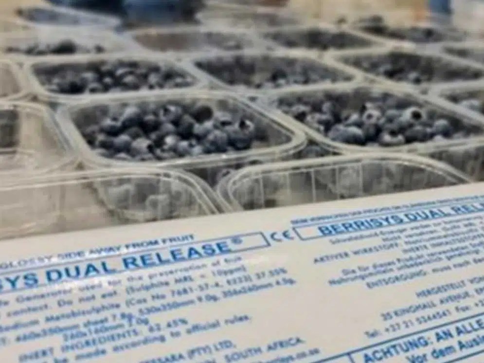 shelf life extension for grapes & berries Redox