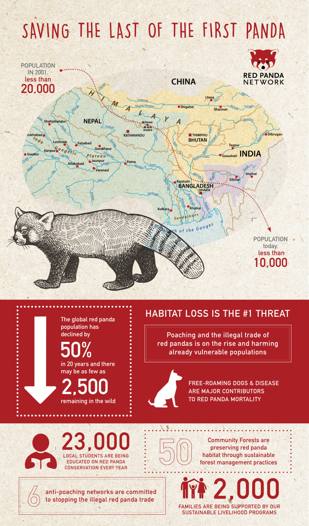 Why Save The Red Panda