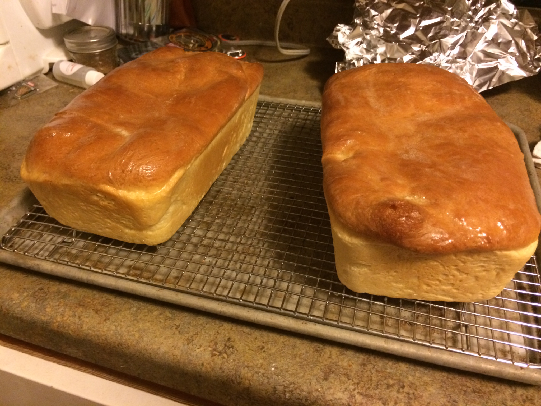 Adventures in Bread Making Sandwich Bread The Red Queen Coder