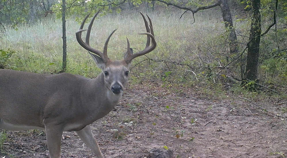 Texas Hunting Lodge, Top Trophy Whitetail Deer Hunts in North Texas