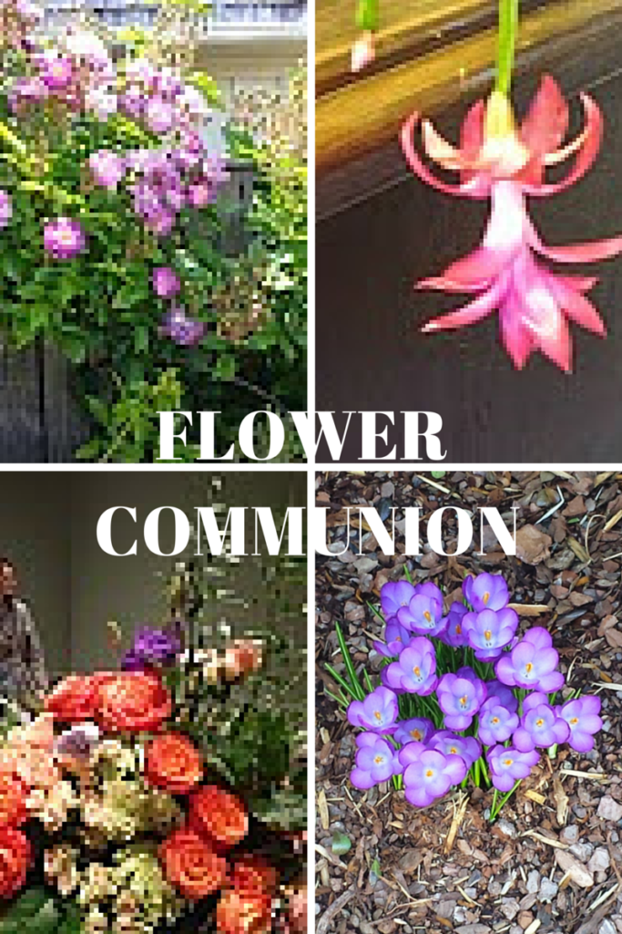 Flower Communion Sunday Red River Unitarian Universalist Church