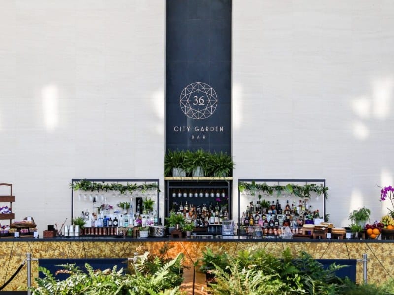 Sky Garden London Views, Bars, Food & Cost