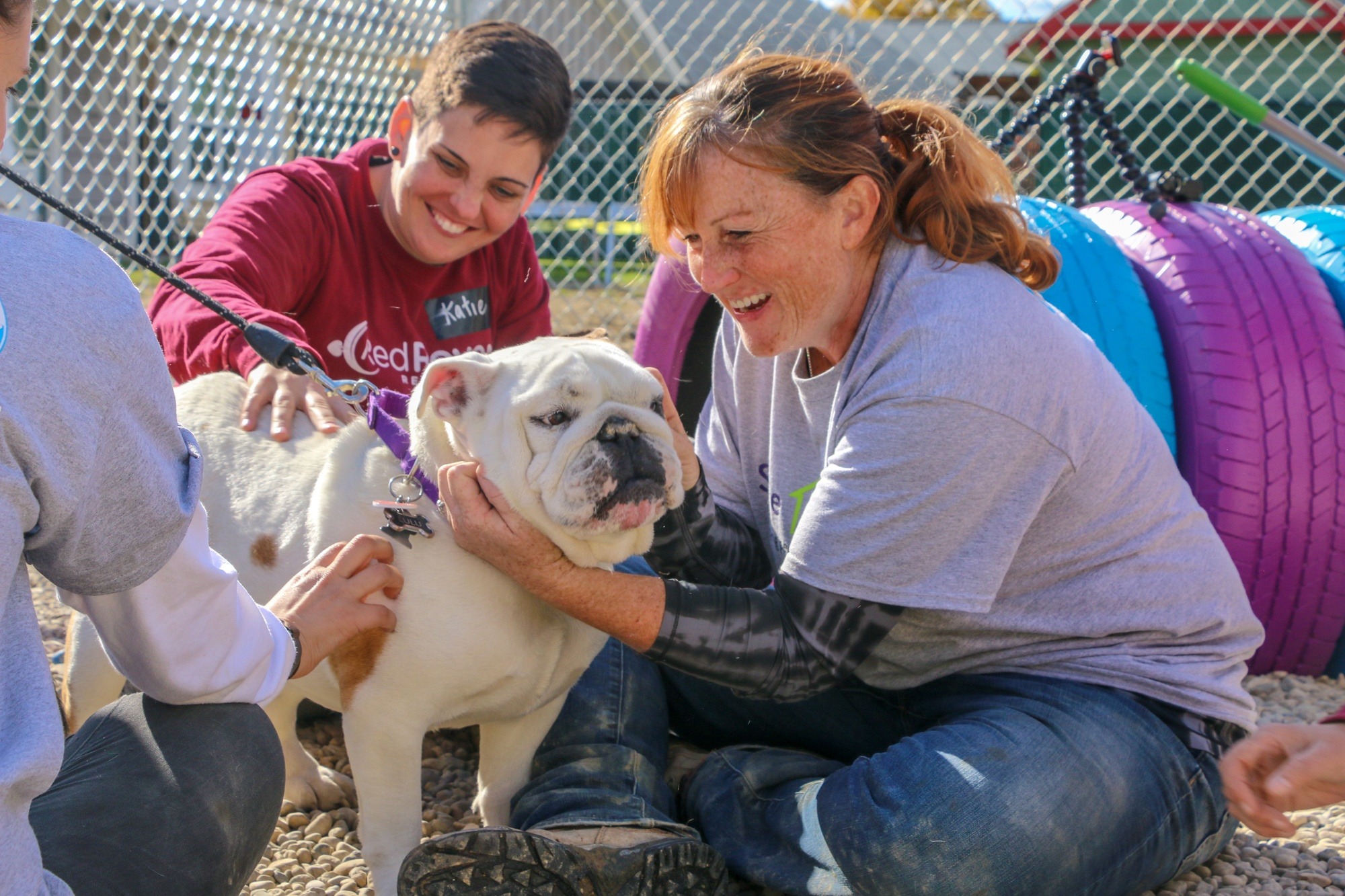 Shelter the Whole Family Keeping pets and families together RedRover