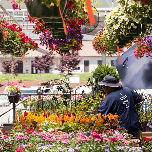 Red's Home and Garden Wilkesboro, NC