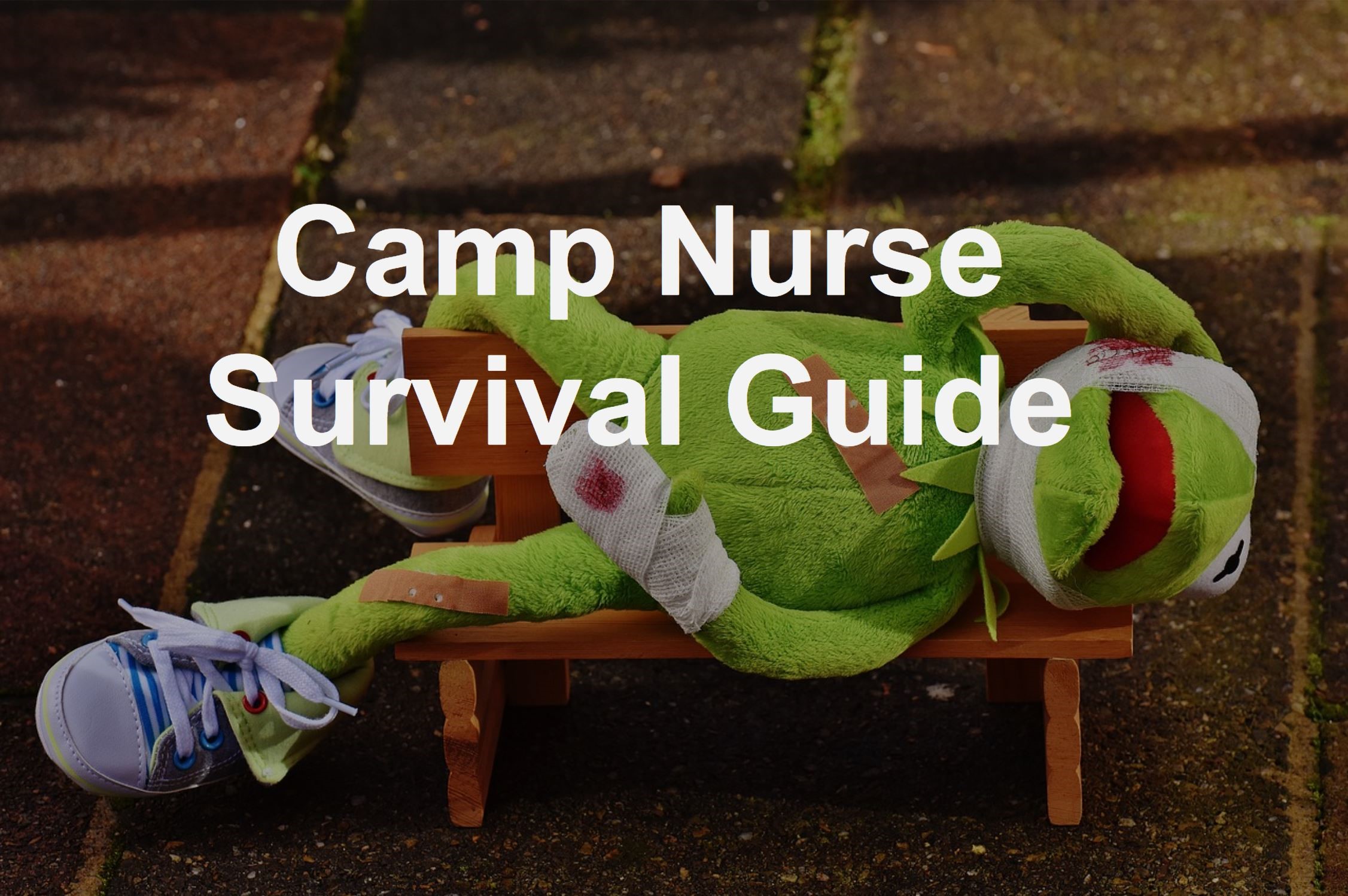 Camp Nurse Survival Guide Tips for the Camp Nurse Red Sky Ready