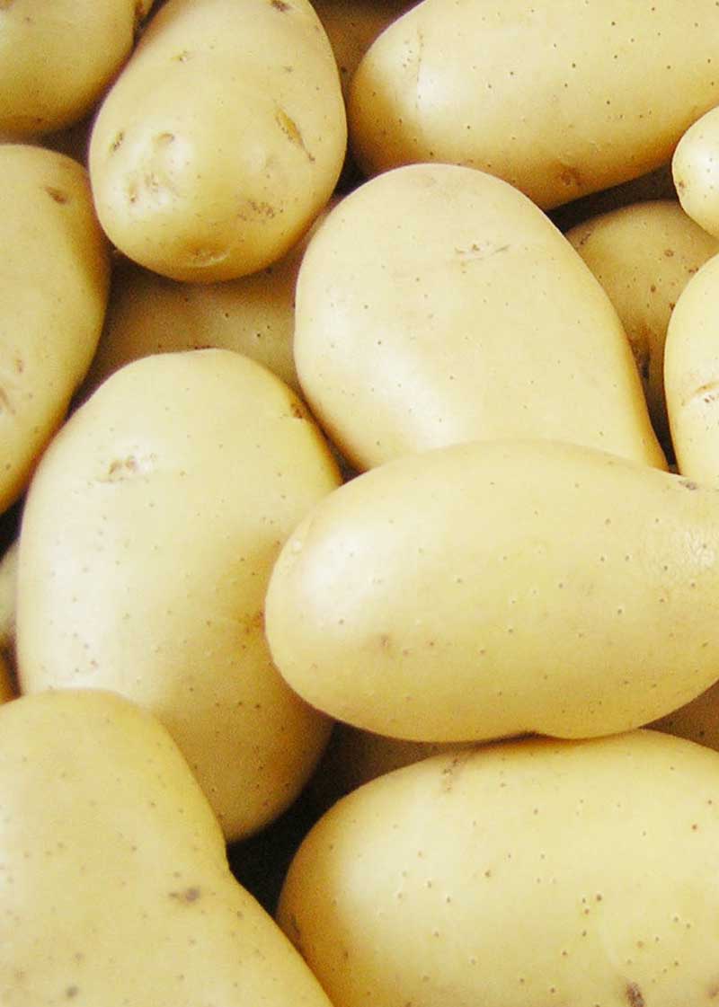 Red Soil Potatoes Cyprus Fresh and prepared vegtables for the